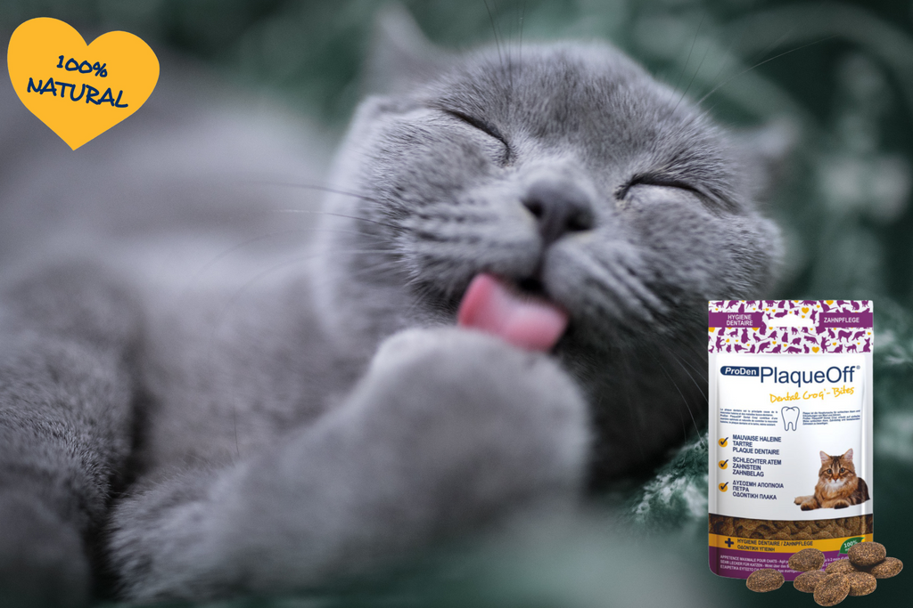 Cuidado Dental Proden PlaqueOff® Croq Bites Para Gatos
