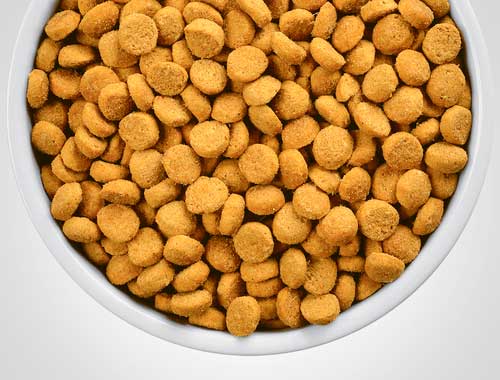 Hill's Reducción de Peso r/d para Gatos