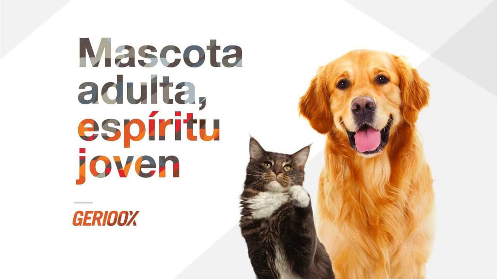 Comprimidos GERIOOX para Perros y Gatos Senior