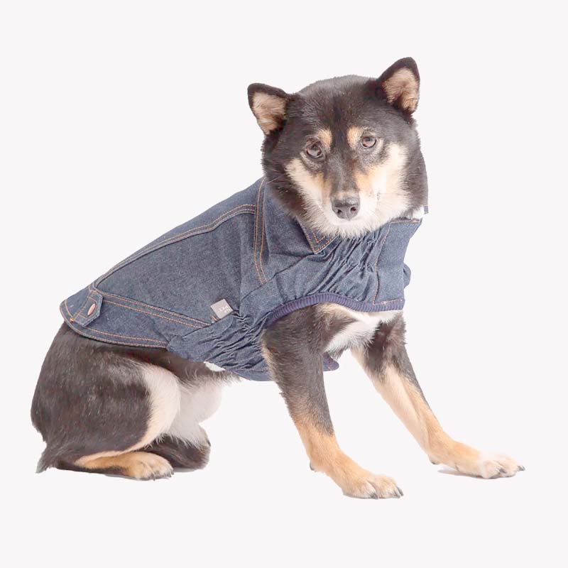 Chaqueta Denim GFPet