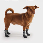 Botines Terrain GF Pet para Perros
