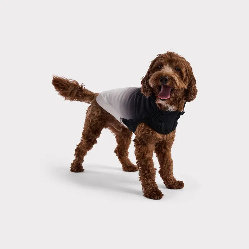 GF Pet Elasto-Fit® Polerón Good Vibes Charcoal