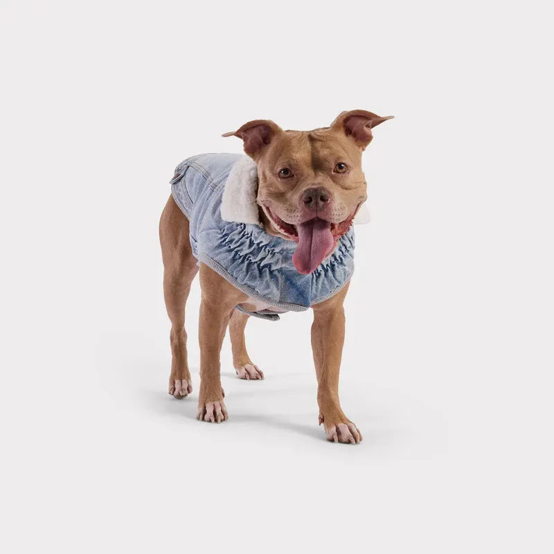 GF Pet Elasto-Fit® Chaqueta Northside Denim Light Wash para perro, abrigo tipo denim claro con interior afelpado y ajuste cómodo