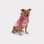GF Pet Elasto-Fit® Polerón Good Vibes Pink