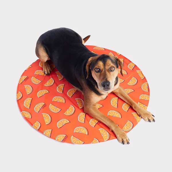 GF Pet Ice Mat Naranja