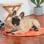 GF Pet Ice Mat Naranja