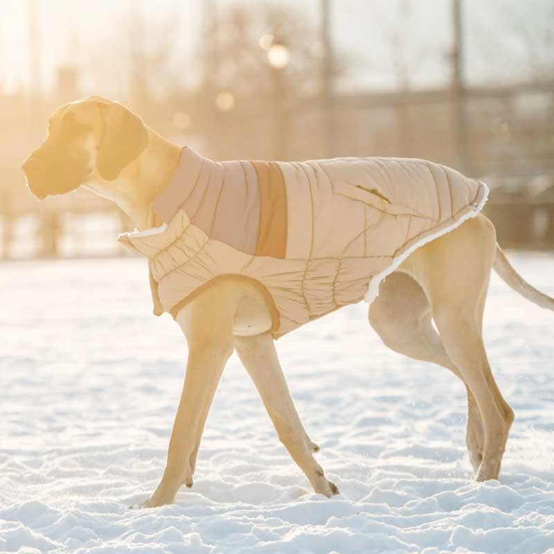 Chaqueta Retro Puffer Arena - L