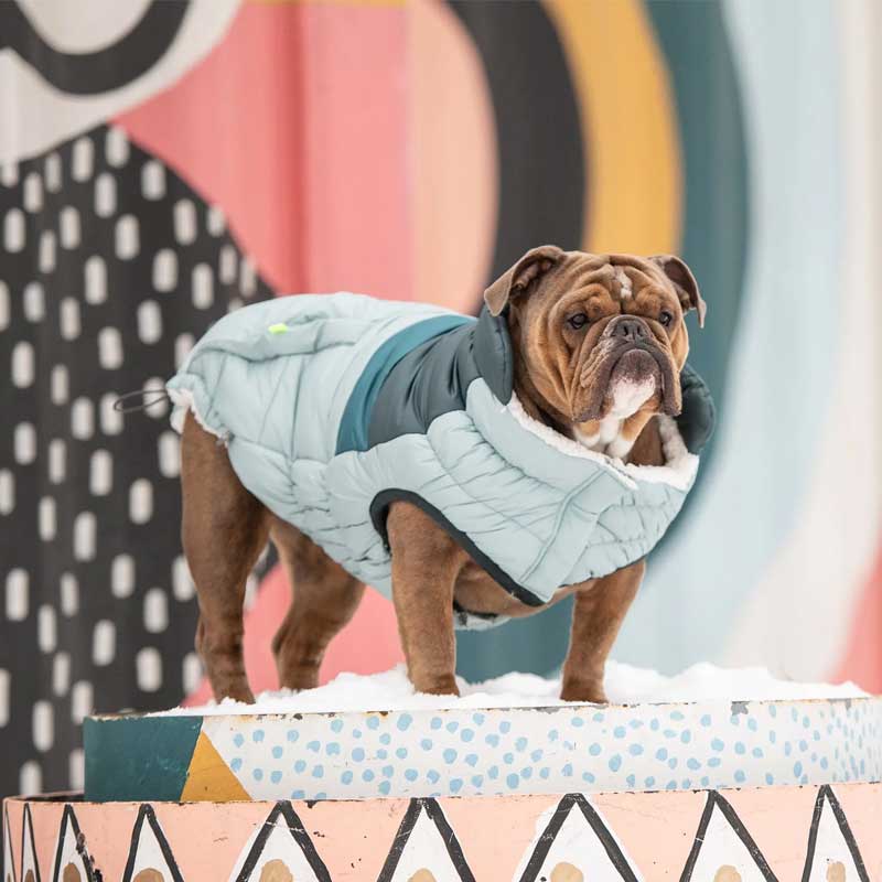 Chaqueta Retro Puffer Celeste