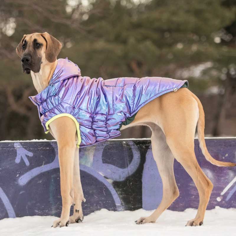 Parka Iridiscente Reciclada