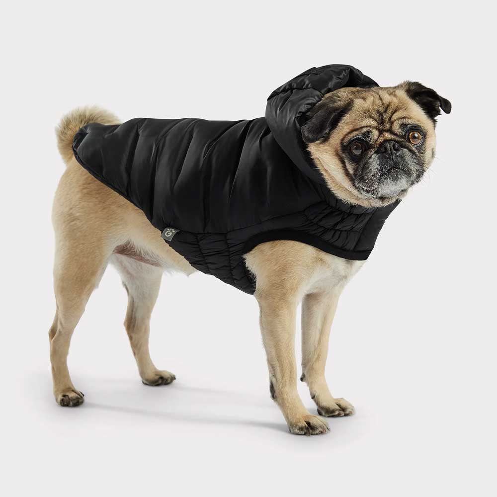 GF Pet Parka Cloud Negra - XL
