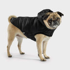 GF Pet Parka Cloud Negra