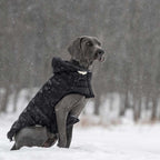 GF Pet Parka Cloud Negra - 2XL