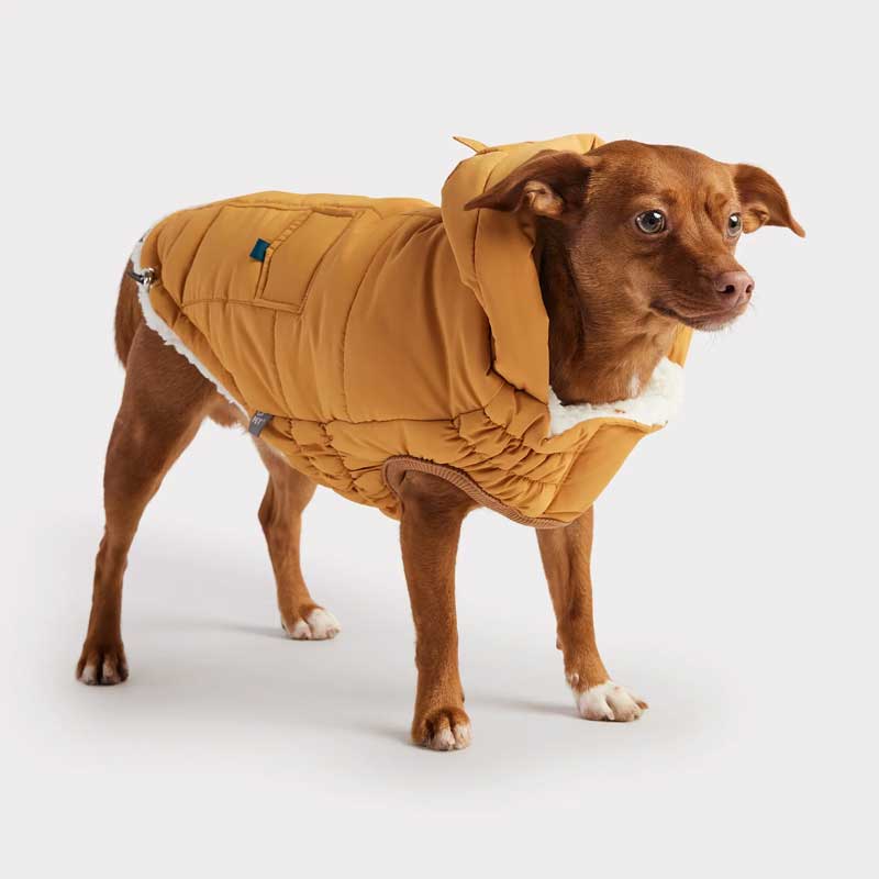 Parka Super Puff Amarilla - S