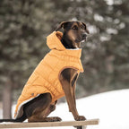 Parka Super Puff Amarilla - L