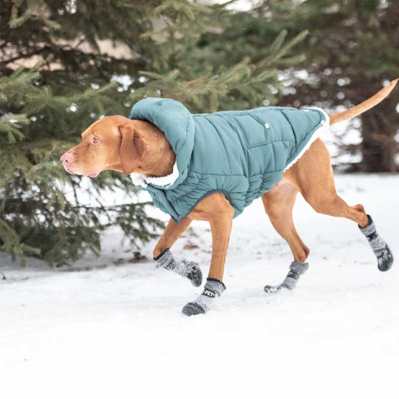 Parka Super Puff Verde Azulado