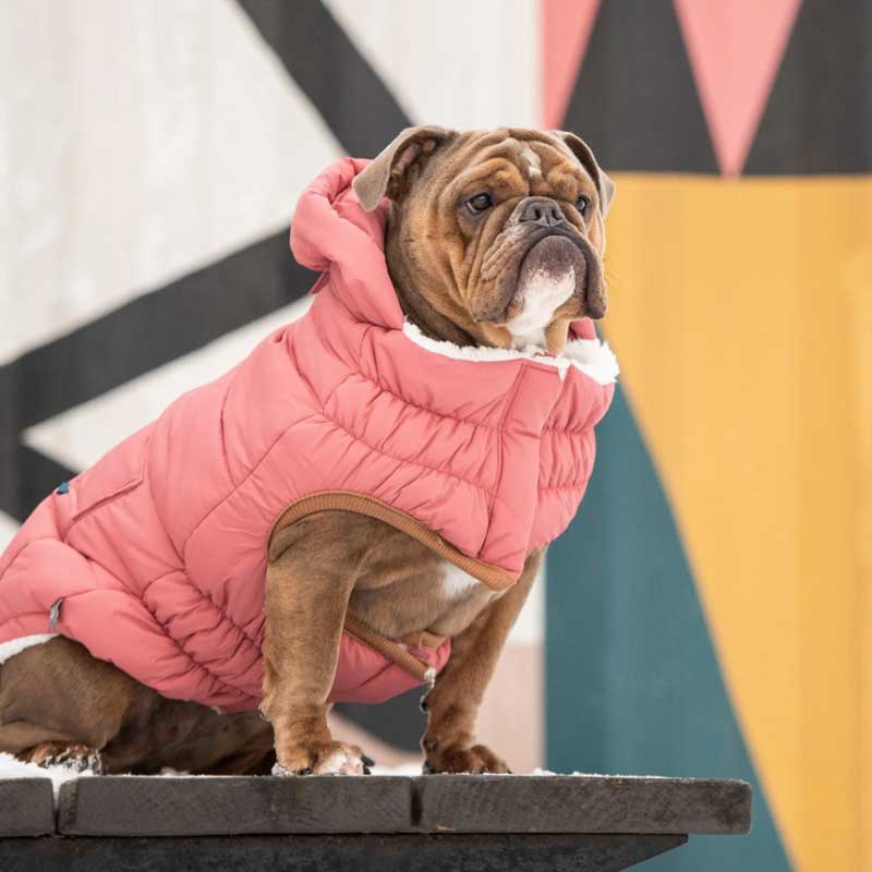 Parka Super Puff Rosa