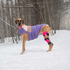 GF Pet Chaqueta Block Puffer Morado