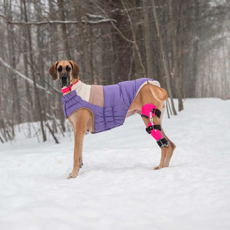 GF Pet Chaqueta Block Puffer Morado - L