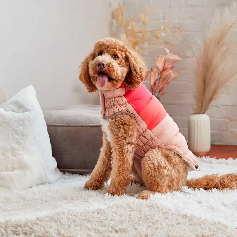 GF Pet Chaqueta Block Puffer Rosado