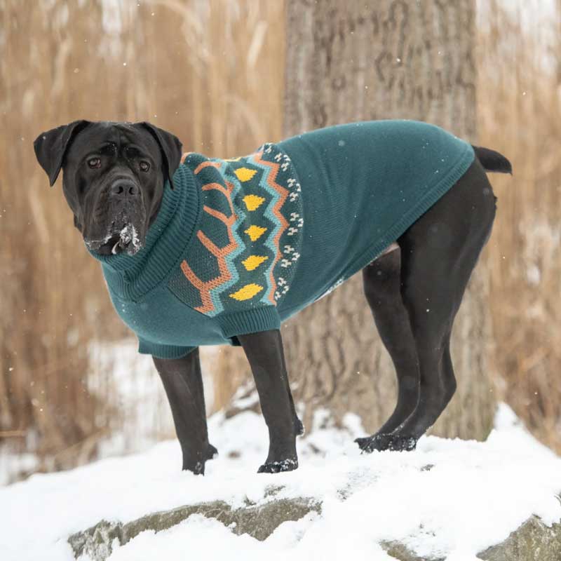 Sweater Heritage Verde Azulado - L