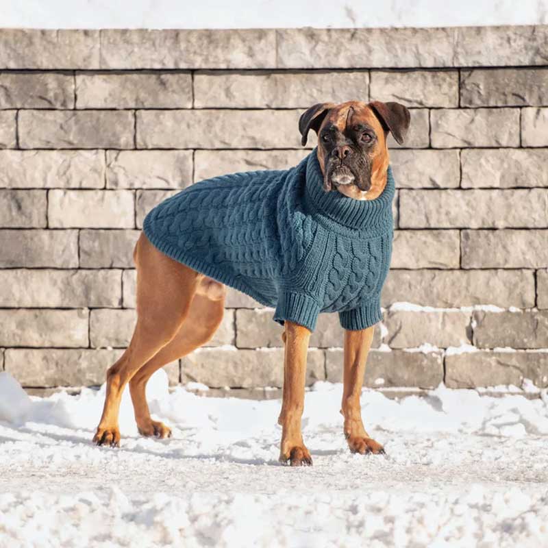 GF Pet Sweater Chalet Verde Azulado Oscuro