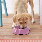 Plato Regulador de Ingesta "Go-Slow!"