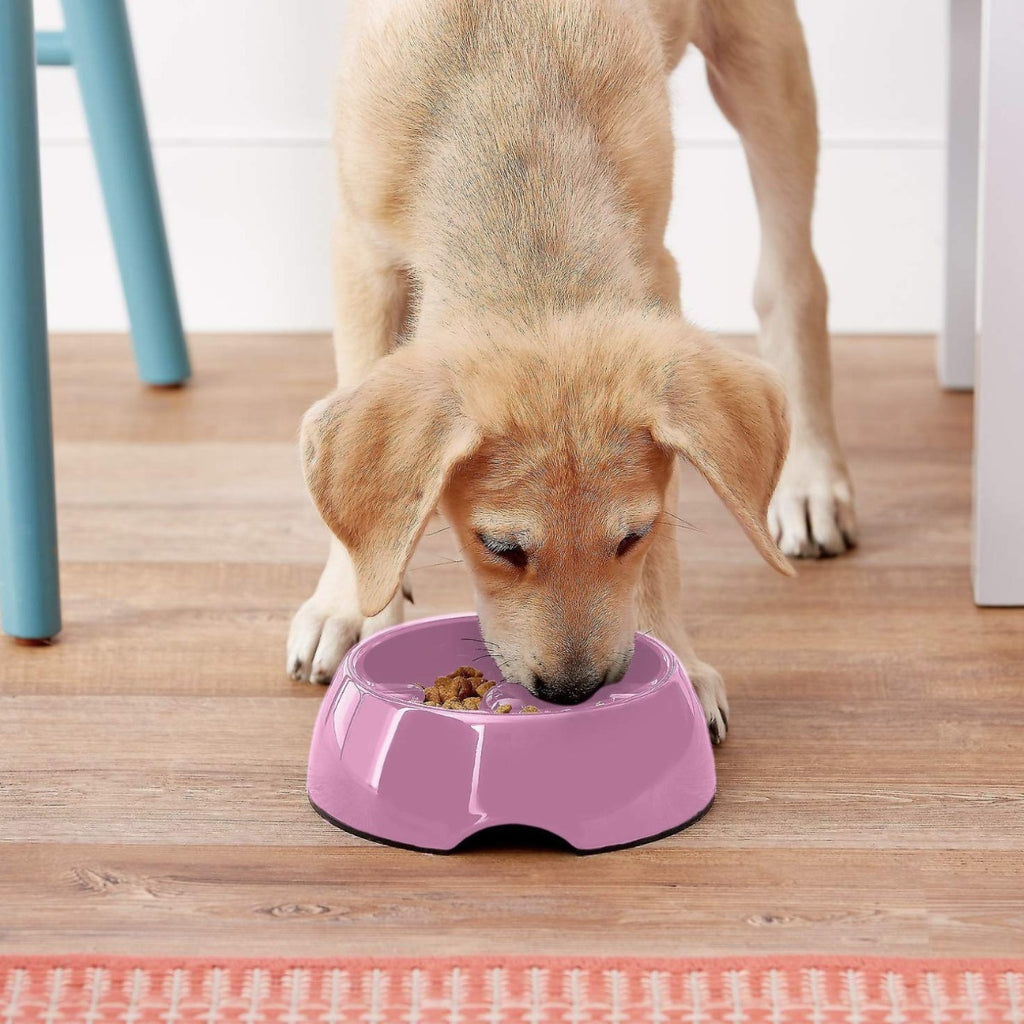 Plato Regulador de Ingesta "Go-Slow!" - M: 600 ml. / Negro