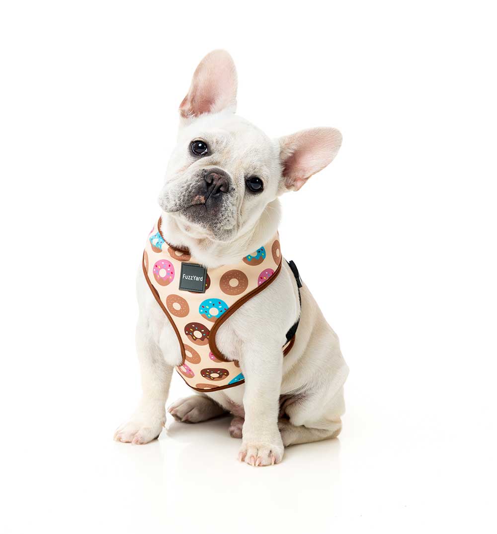 Arnés para Perros "Go Nuts" Fuzzyard