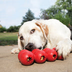 Juguete Kong "Goodie Ribbon" color rojo para perros, mordedor de goma resistente con diseño segmentado para premios y snacks.
