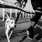 Correa "Gotham" Zee.Dog