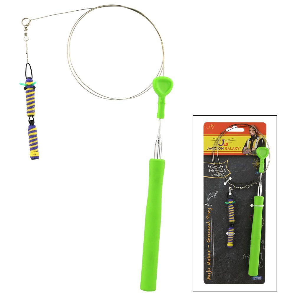Caña de pescar Jackson Galaxy "Ground Wand"