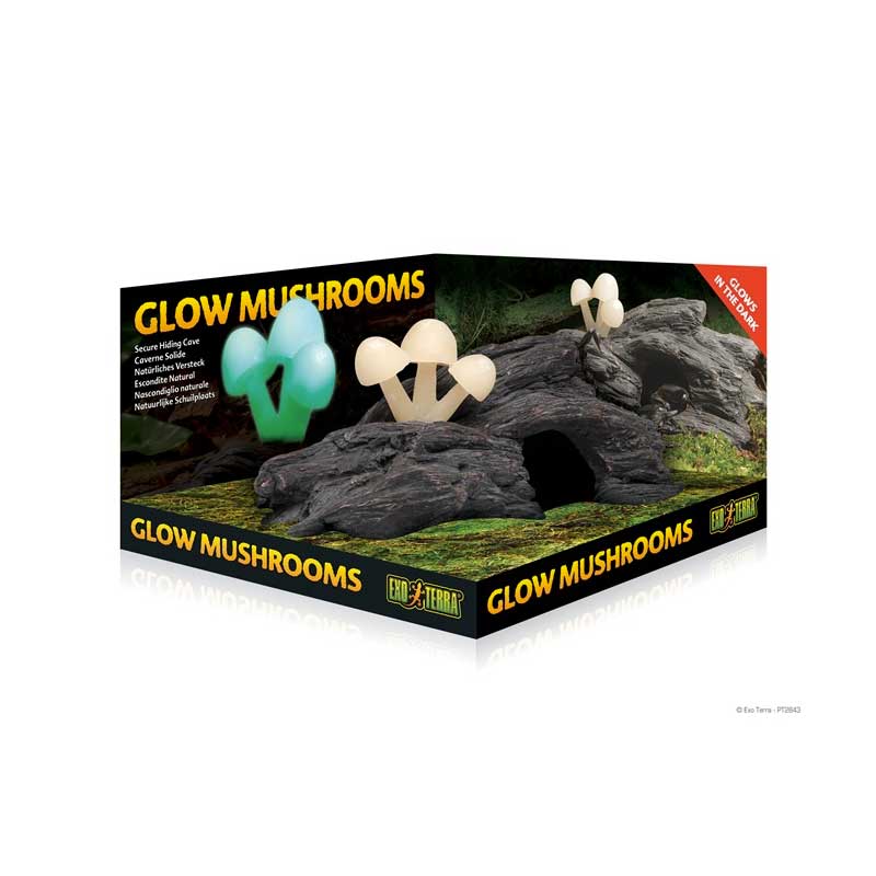 Guarida Hongos Luminosos Exo Terra