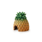 Guarida Deco Piña Exo Terra