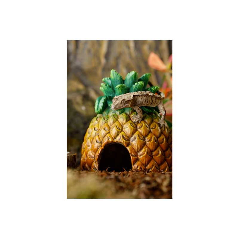 Guarida Deco Piña Exo Terra