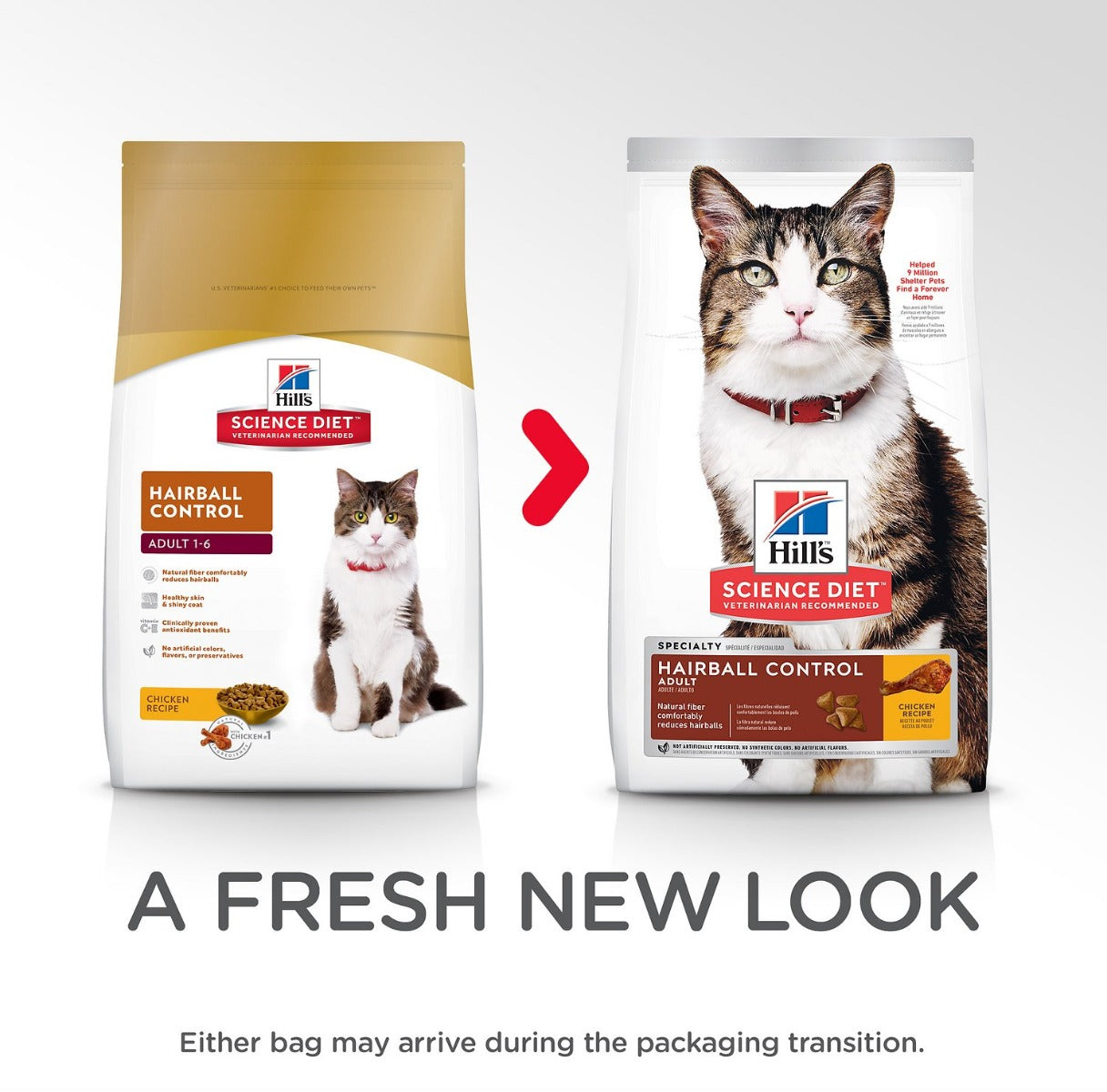 Hill's "Hairball Control" Gato Adulto