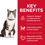 Hill's "Hairball Control" Gato Adulto