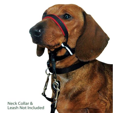 Cabestro Halti Optifit 