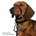 Cabestro Halti Optifit 