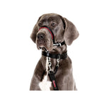 Cabestro Halti Optifit 