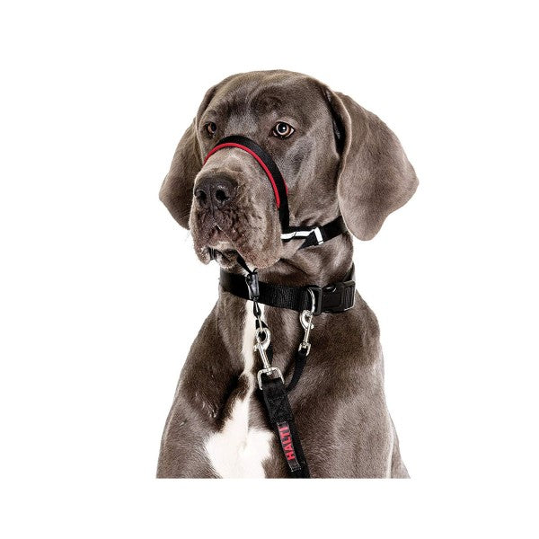 Cabestro Halti Optifit 