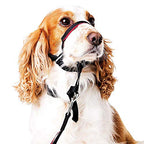 Cabestro Halti Optifit 