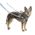 Correa de Dos Puntas Halti - L