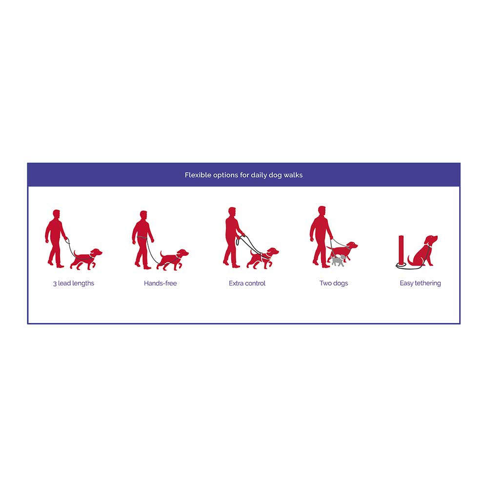 Correa de Dos Puntas Halti