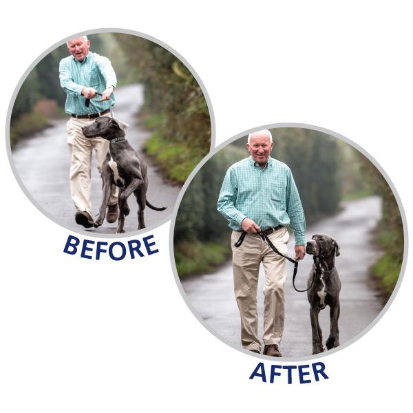 Cabestro Halti Optifit  - Large: 48-64 cm