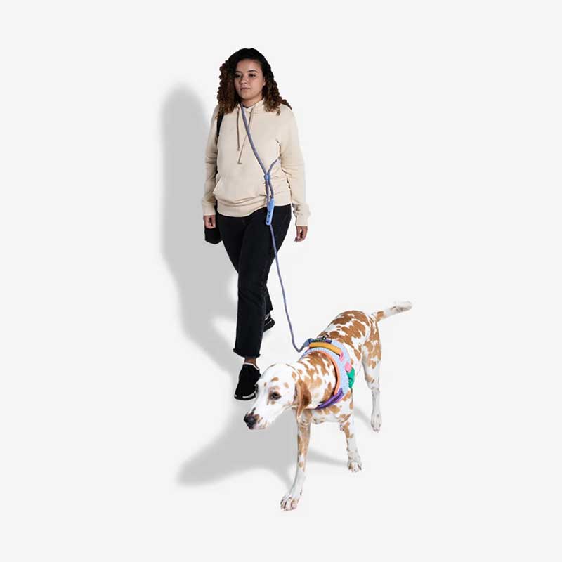 Correa Tech "Handsfree" Zee.Dog 