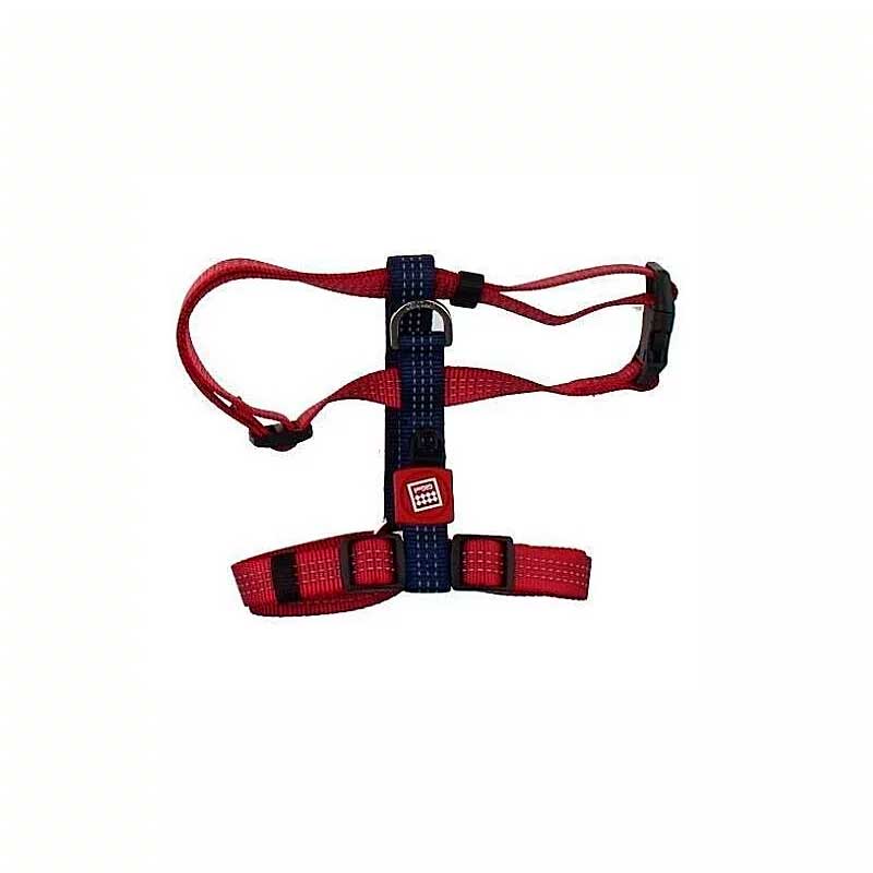 Arnés Linea Clásica Gigwi