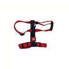 Arnés Linea Clásica Gigwi - L