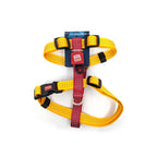 Arnés Linea Clásica Gigwi