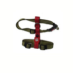 Arnés Linea Clásica Gigwi - XL