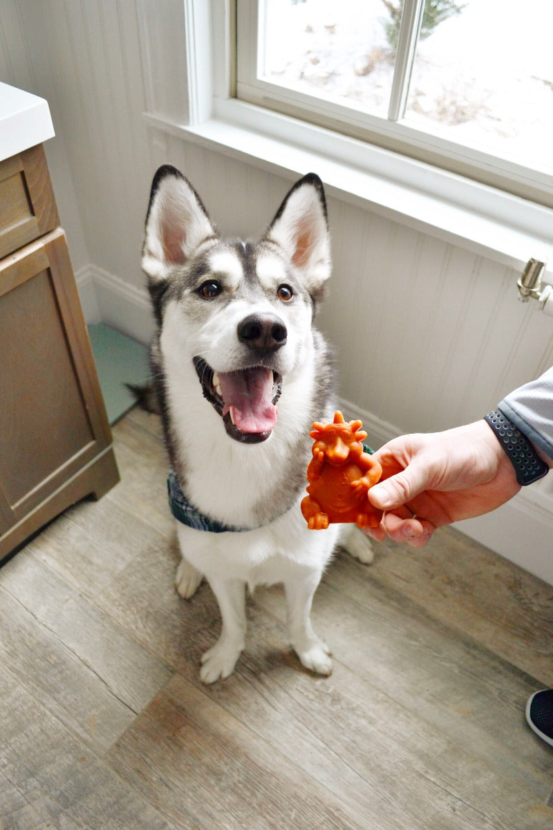 Snacks Whimzees "Hedgehog"